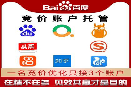 百度竞价代理实战技巧：经典案例深度解读